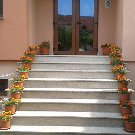 Pensiunea Damiris Băile Felix Zewnętrze zdjęcie