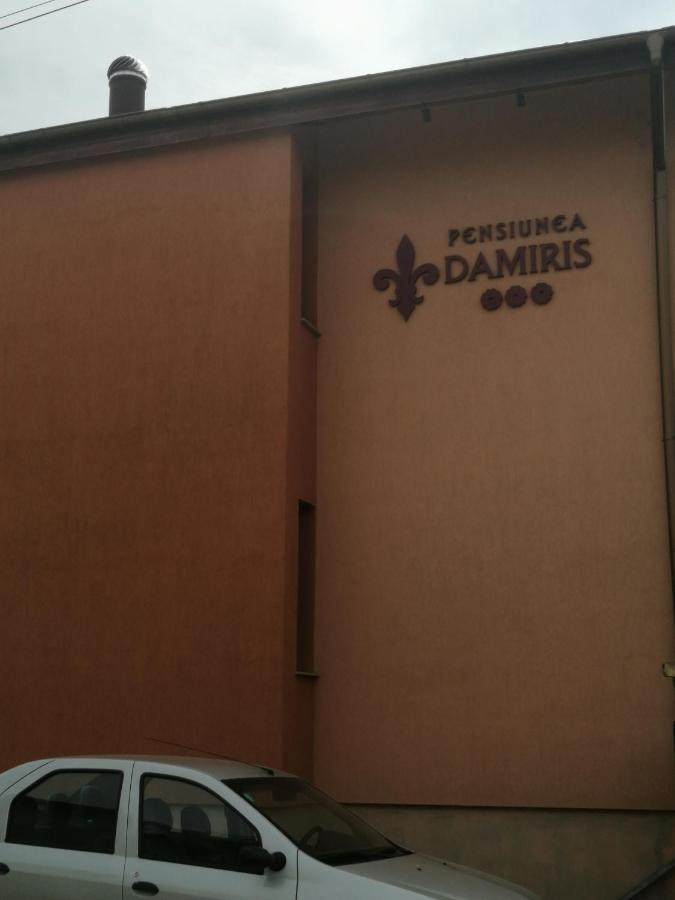 Pensiunea Damiris Băile Felix Zewnętrze zdjęcie